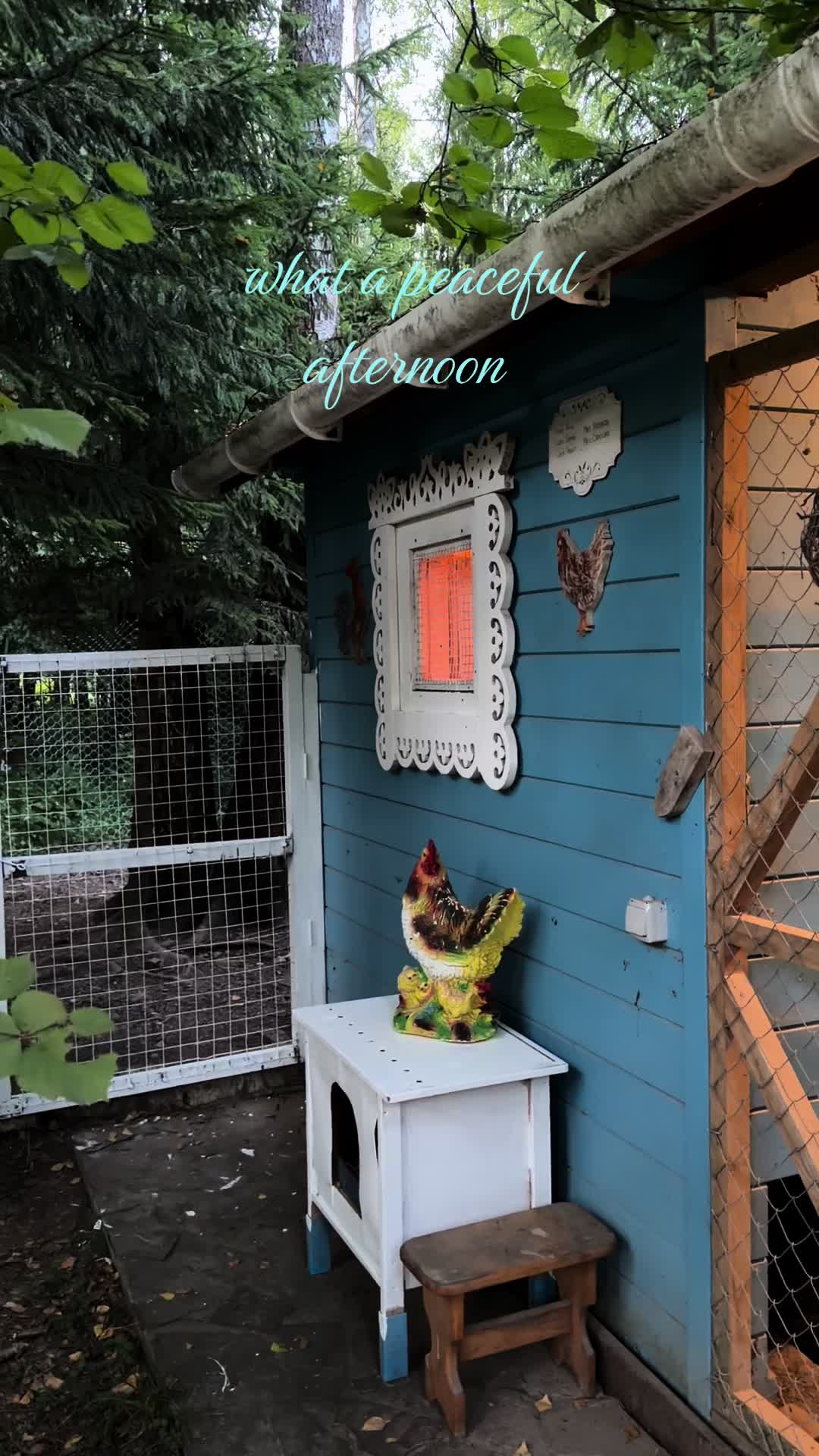 @лягушка