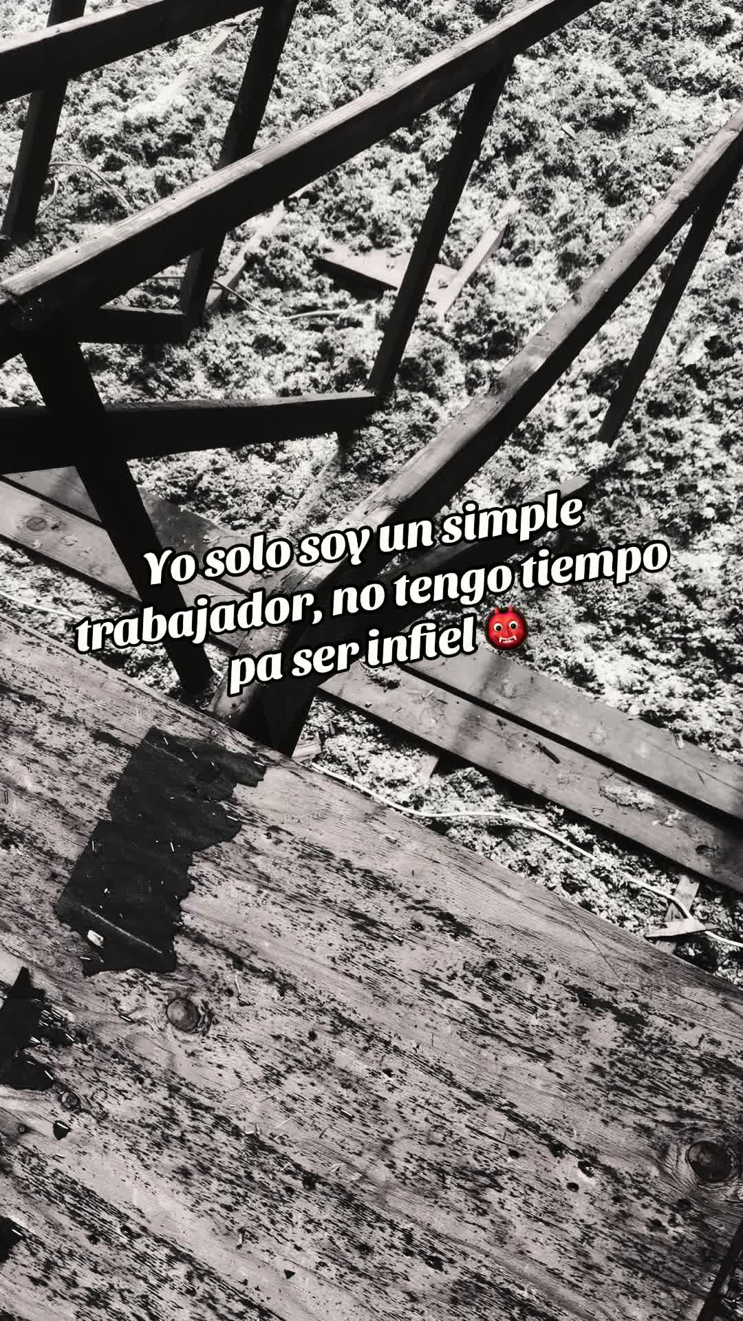 @francisco.gt5.0.2