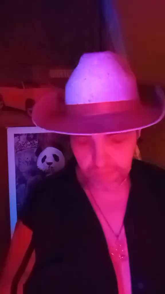 @PurgeKitty