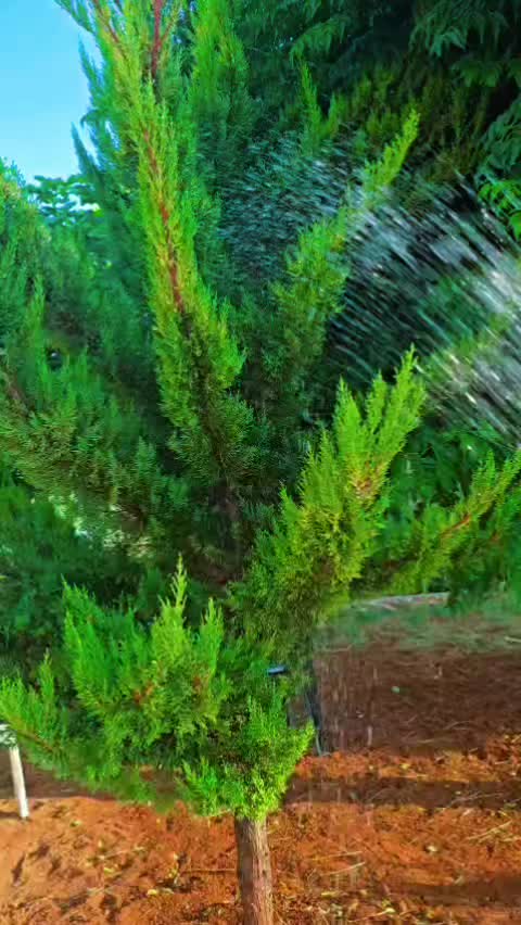 @يونس ال علوش