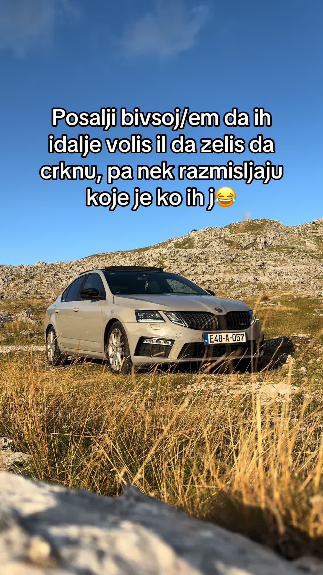 @mnls.vrs