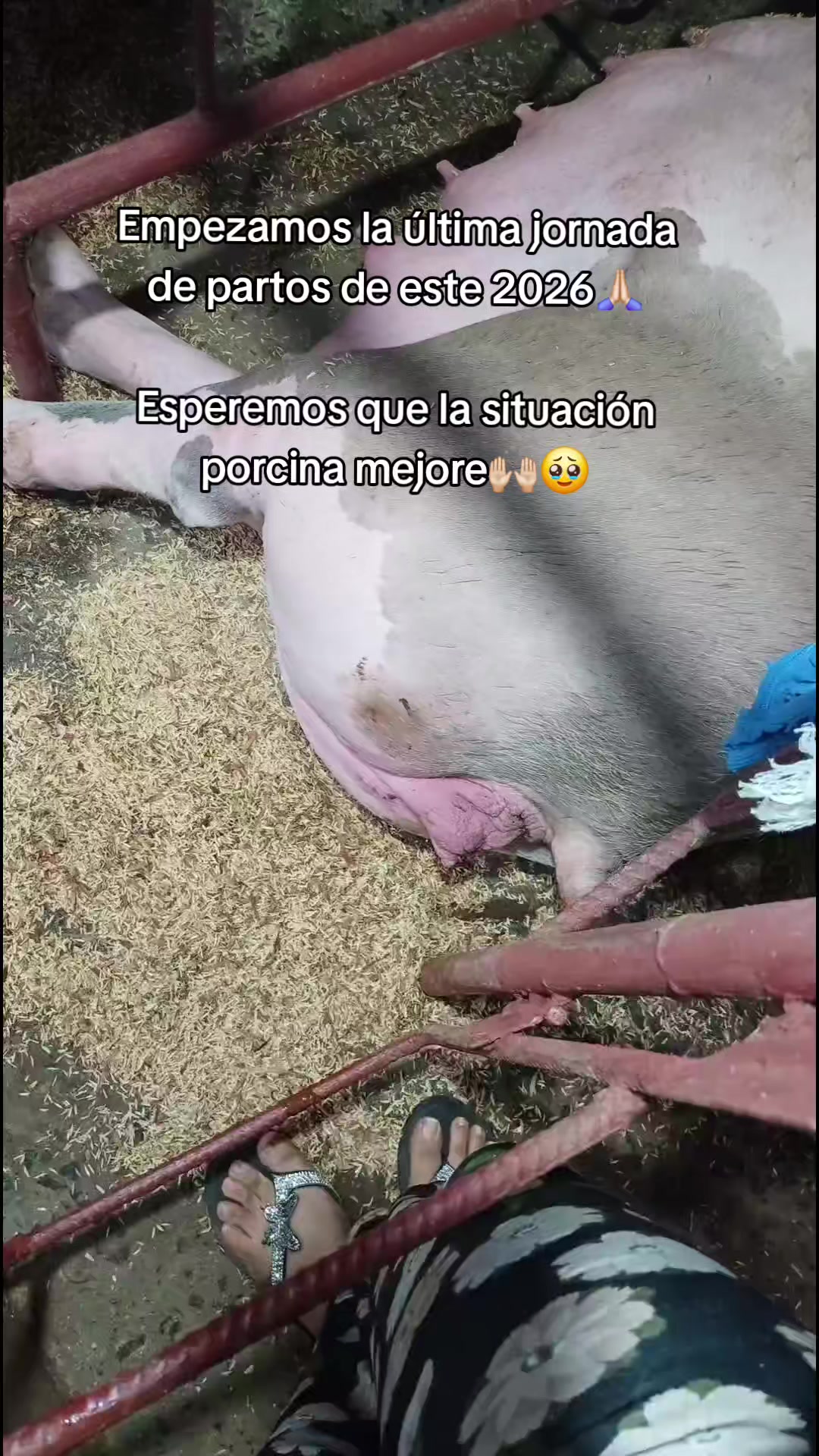 @Licda. Ninoshka Aguilar👩🏻⚕️