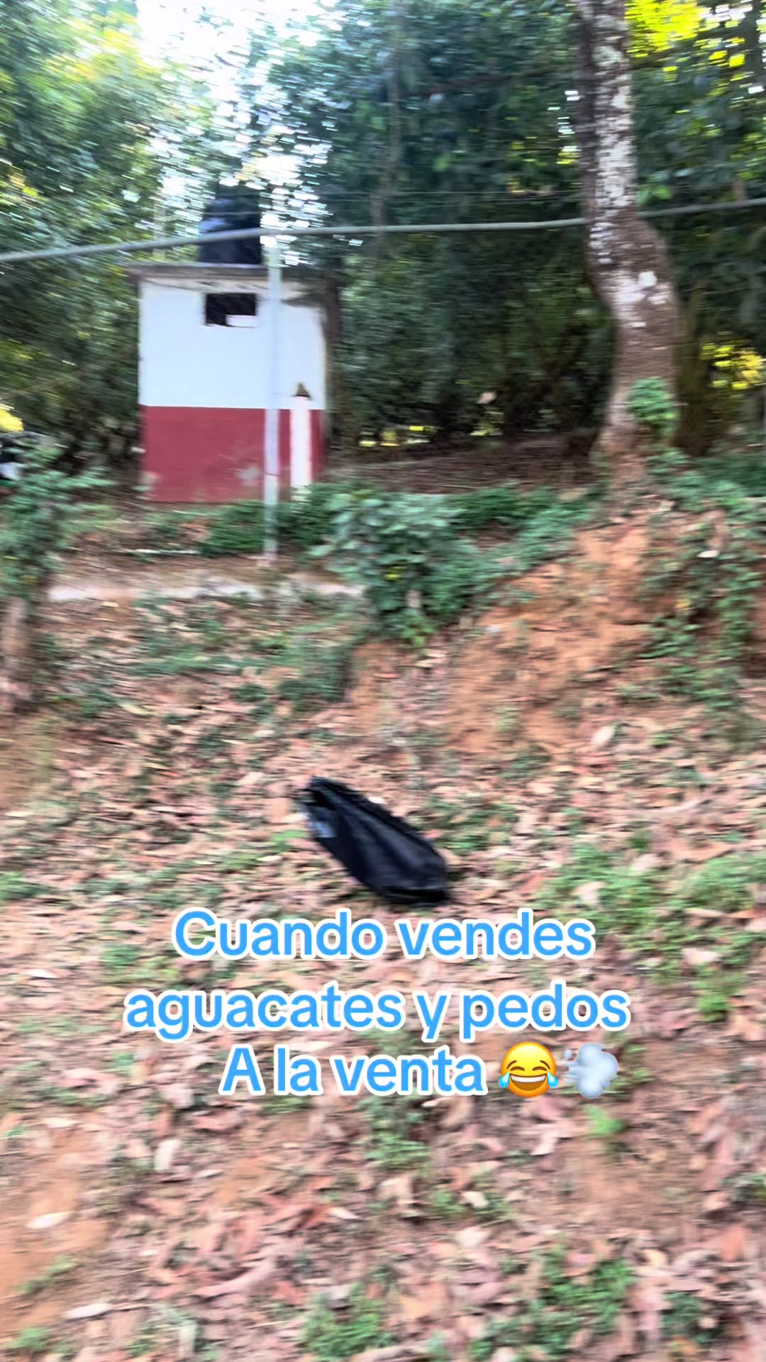 @EL SEÑOR DE LOS PEDOS