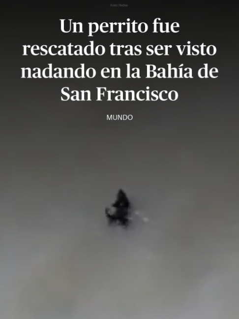 @DiariodeM&eacute;xico