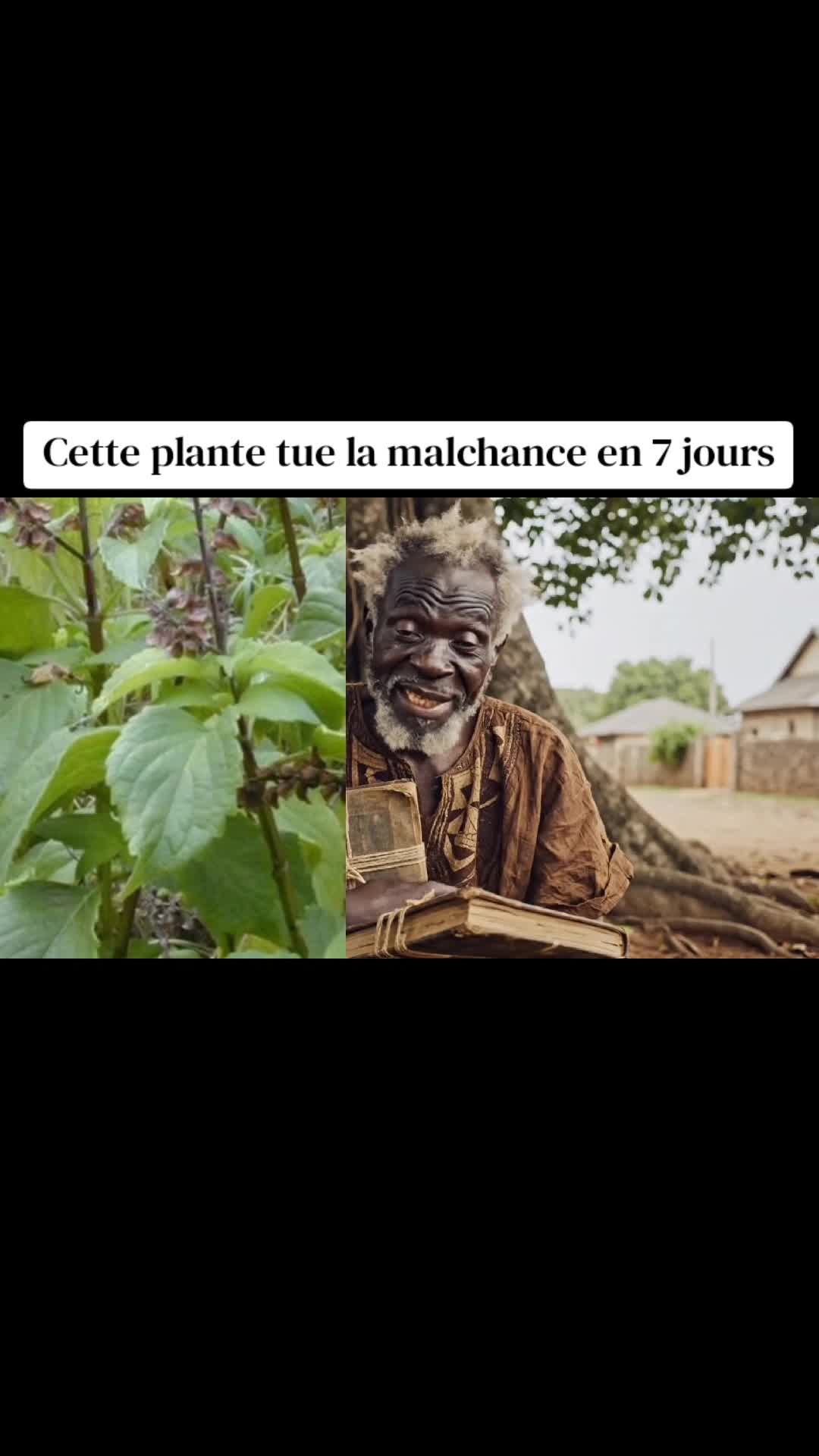 @Le vieux qui sait 👴🏽📖