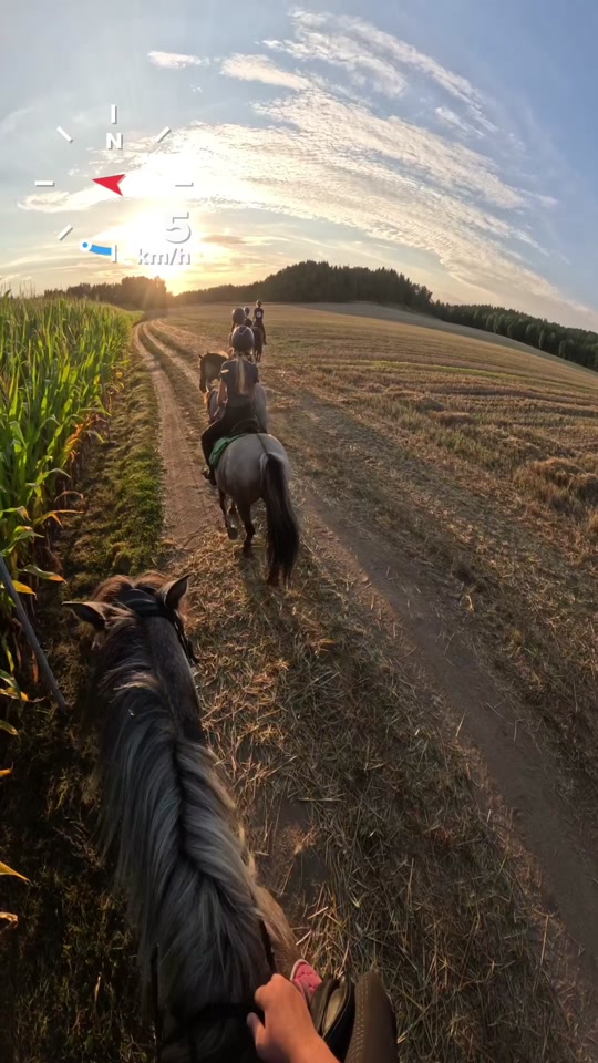 @Stajnia Miejsce Rozwoju