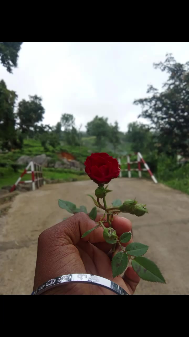 @ᴍᴅ᭄ⓃⒾⓈⒽⒶⓃᴮᵒˢˢ࿐