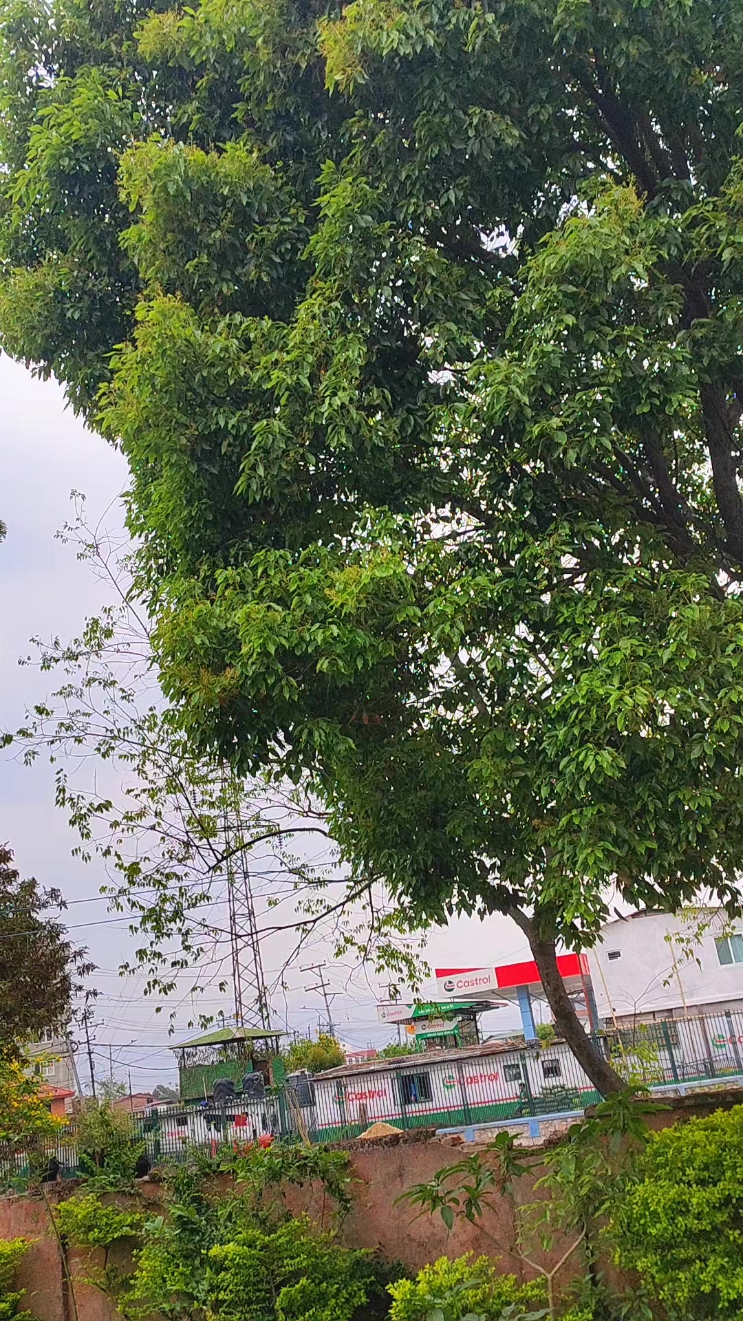 @ît'ß më ßhïyä