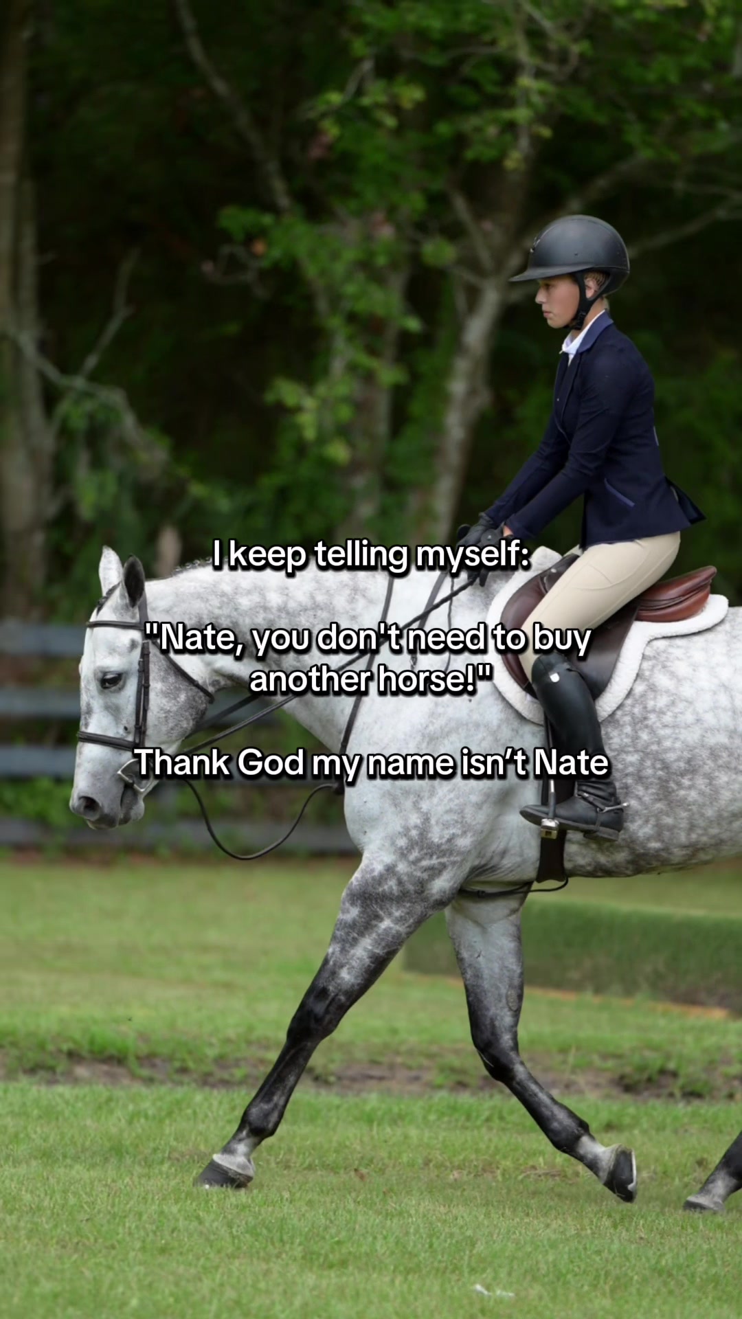 @Free Ride Equestrian