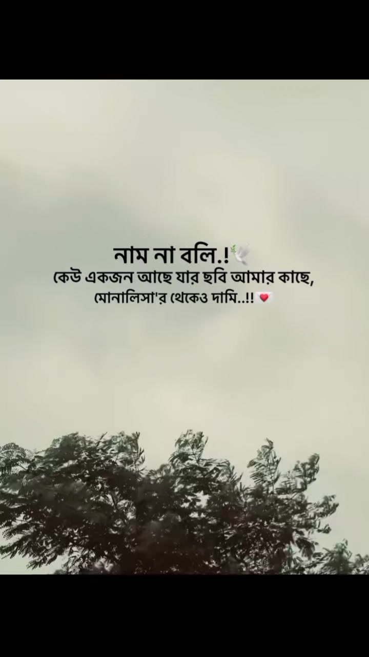 @💫🥀 ⊶N⊶O⊶Y⊶O⊶N⊶🥀💫