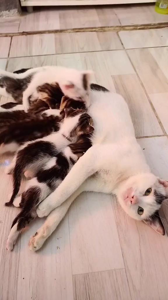 @BEYAZSU_YAŞAM