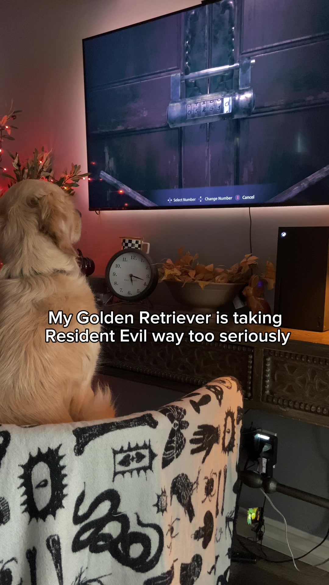 @Bruce Wayne
