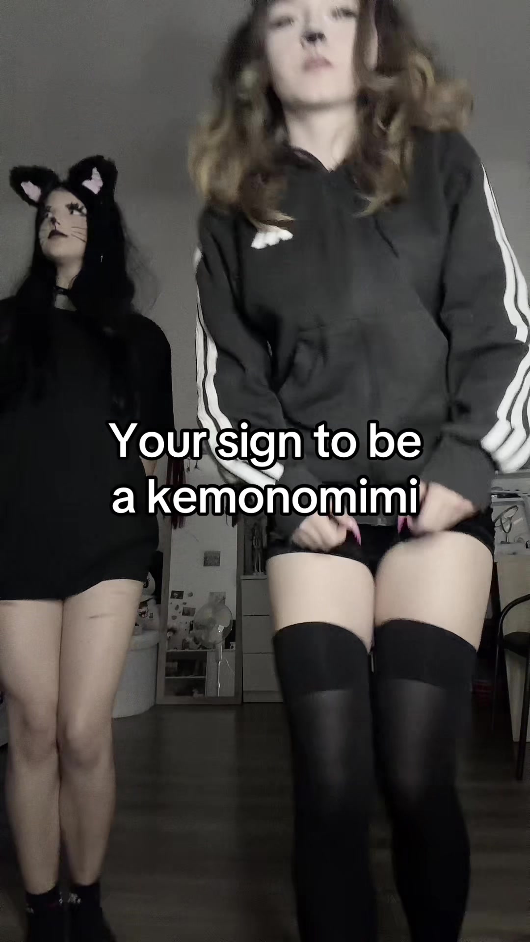 @kemonomimiheaven