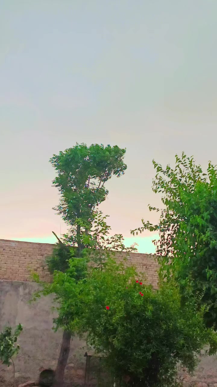 @🥺لاحاصل محبت 💔😭