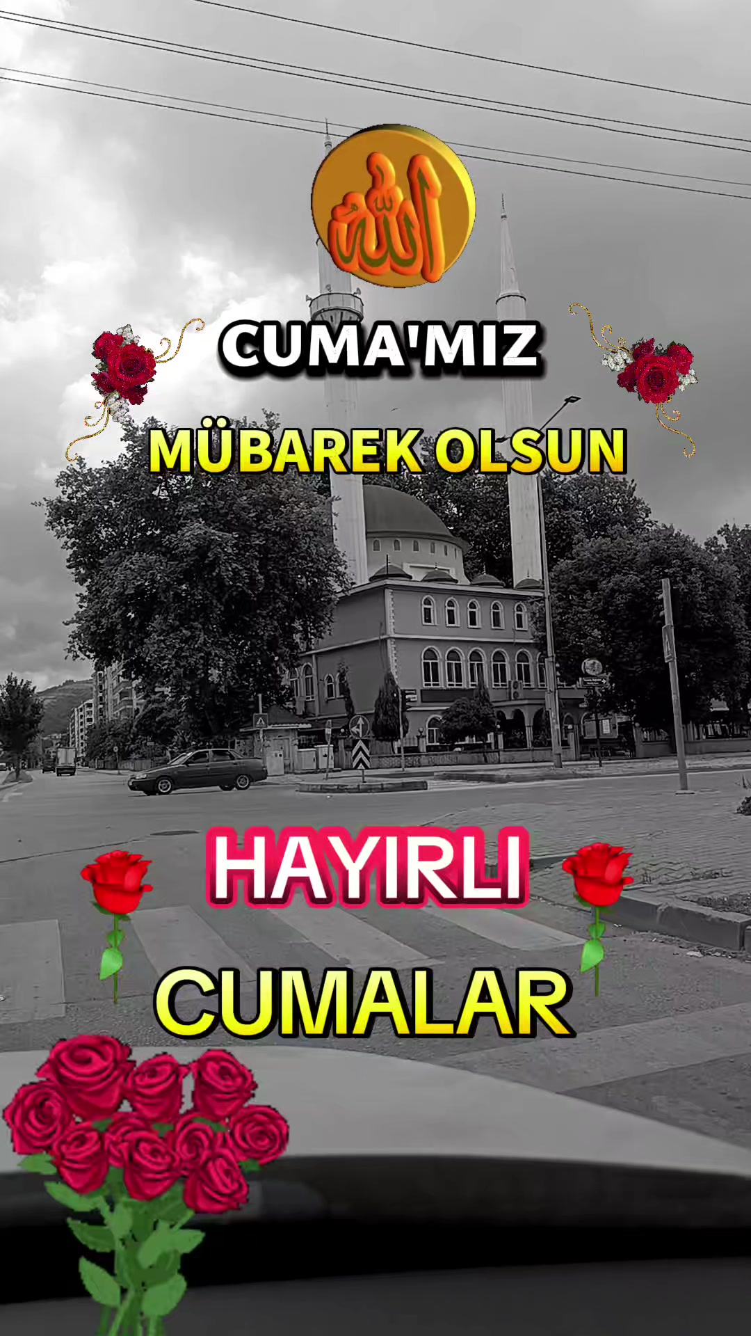 @@hayatsevinceguzel5537