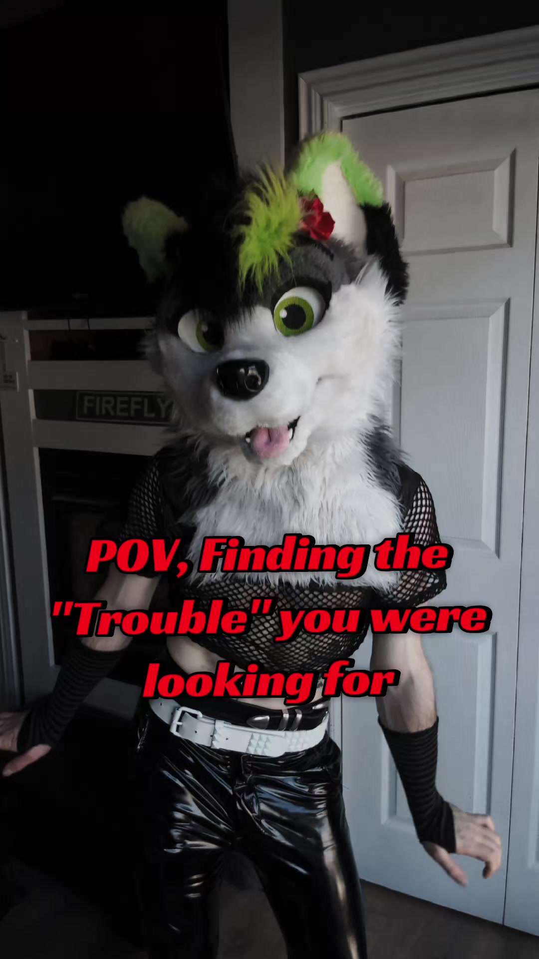 @Firefly Wolfy