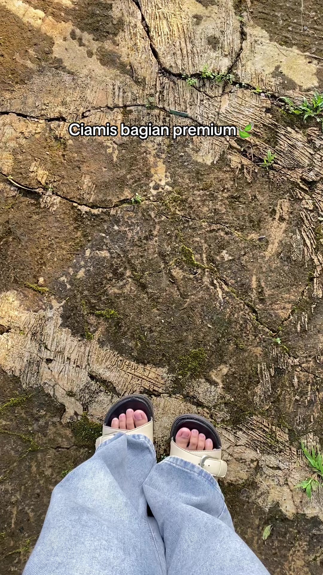 @itwil