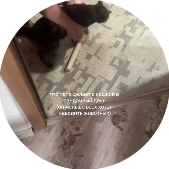 @полина