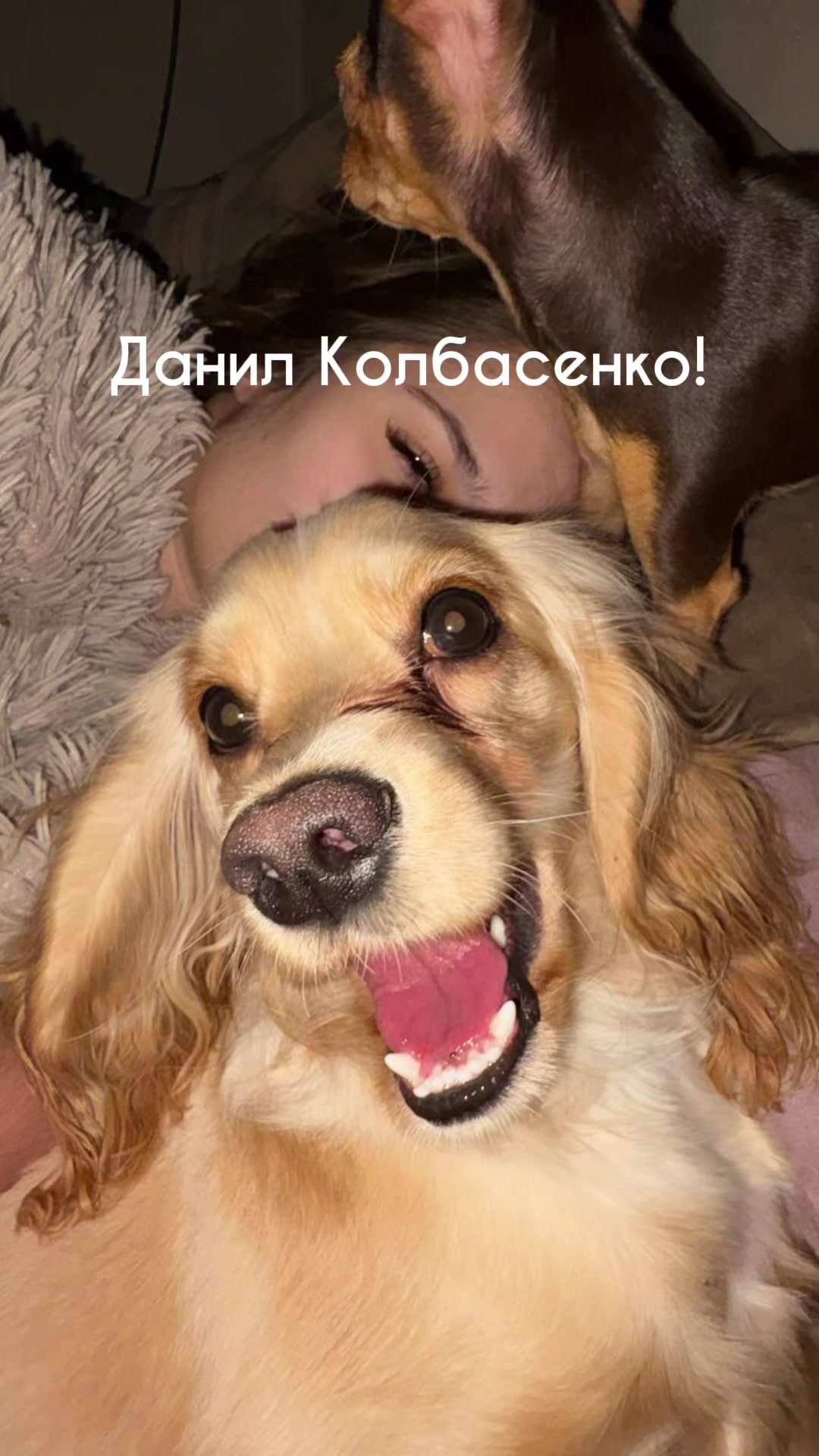 @skaldinova.resni