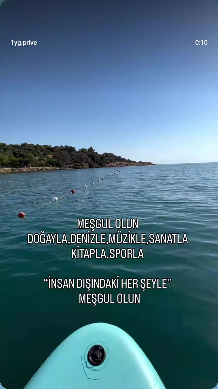 @Mavimsi