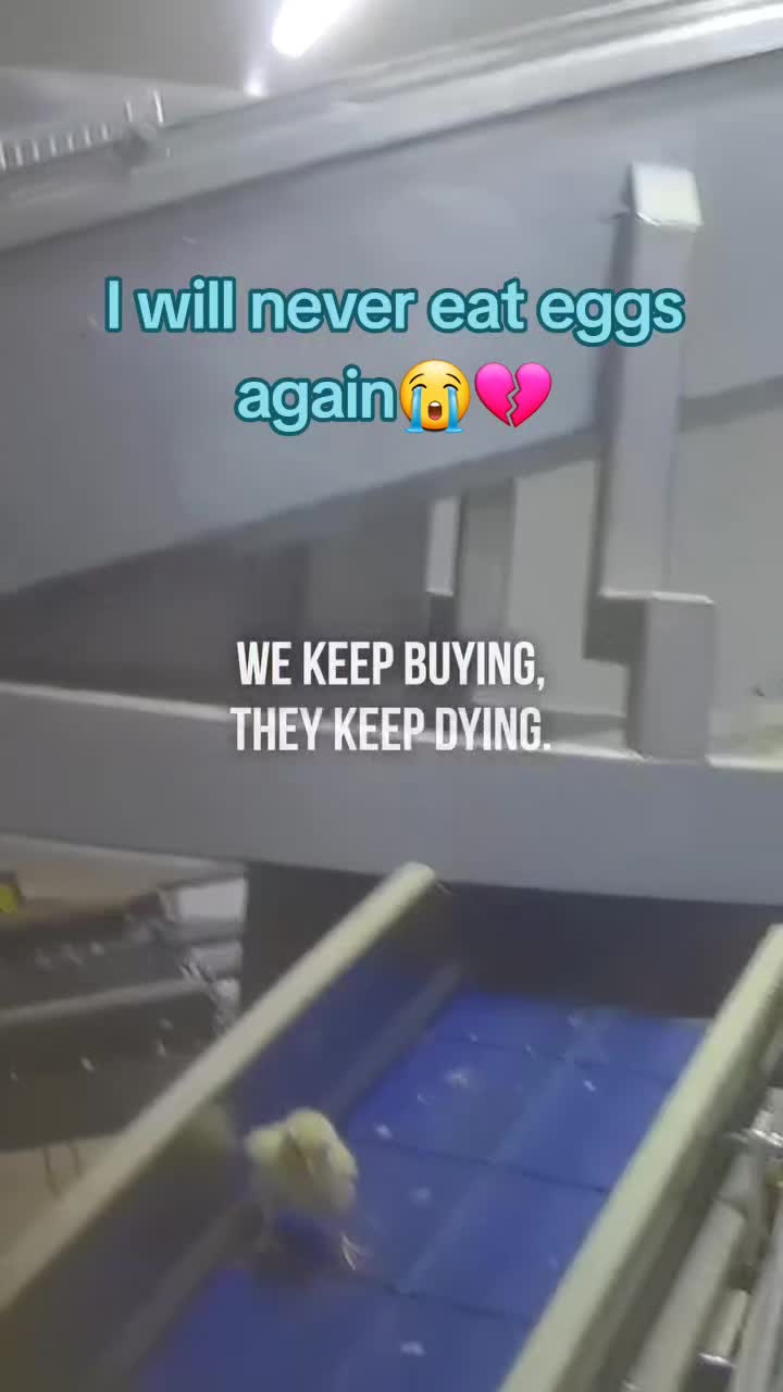 @ru.goodorevil