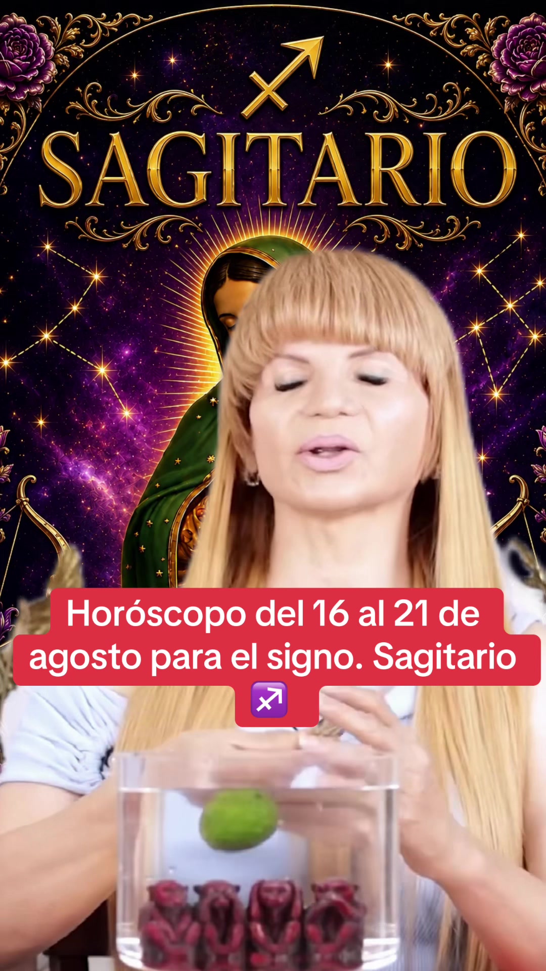 @✨ORÁCULO 13 ✨