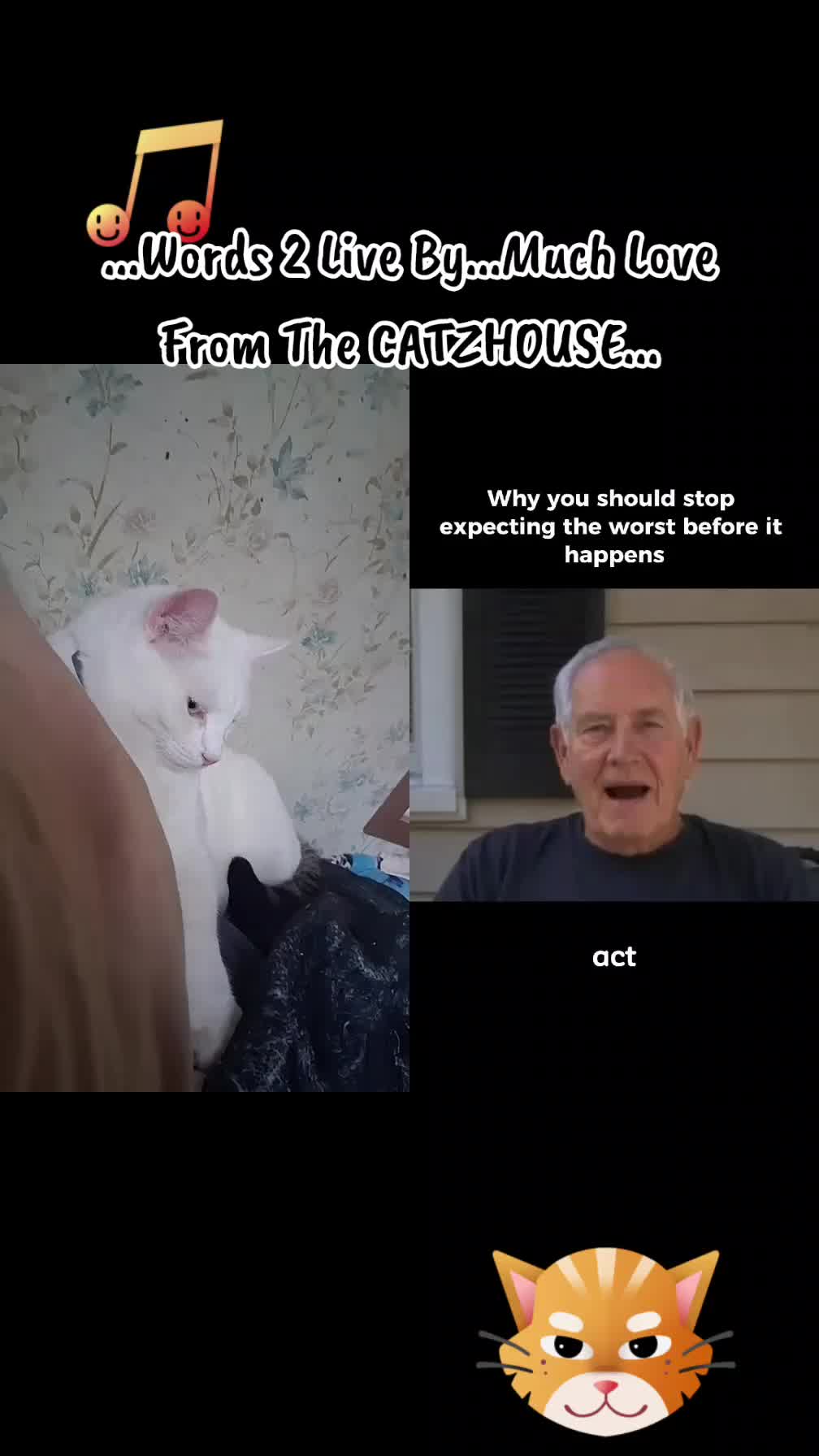 @Booh Hovey crazycatlady3