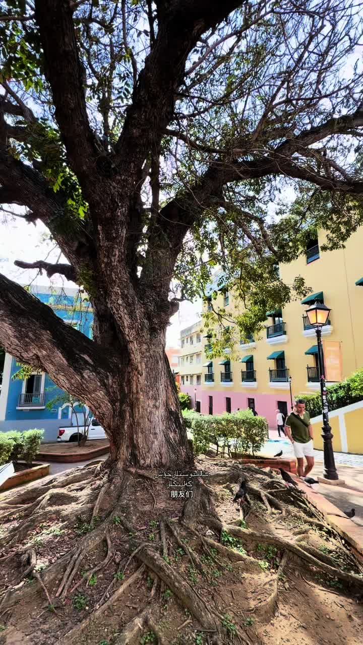 @Seherdin