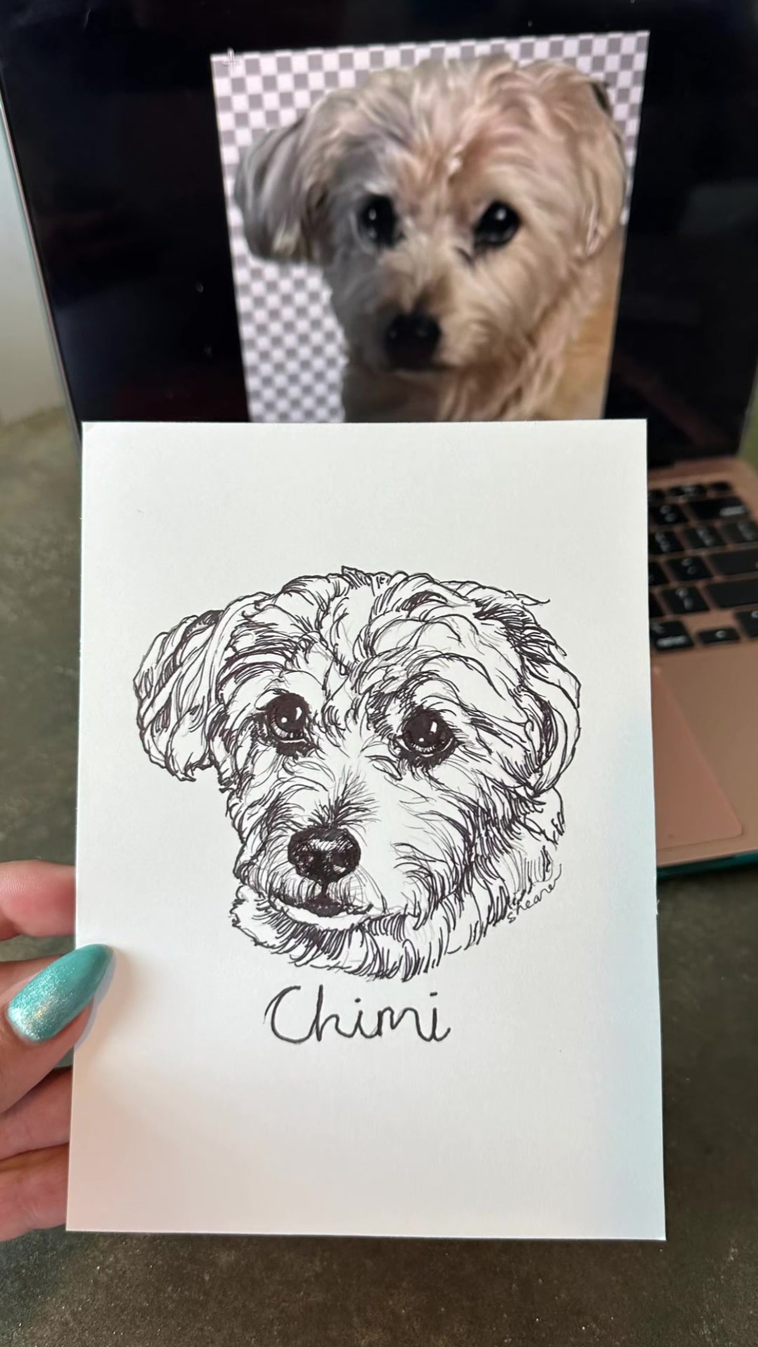 @Pet Portrait Artist