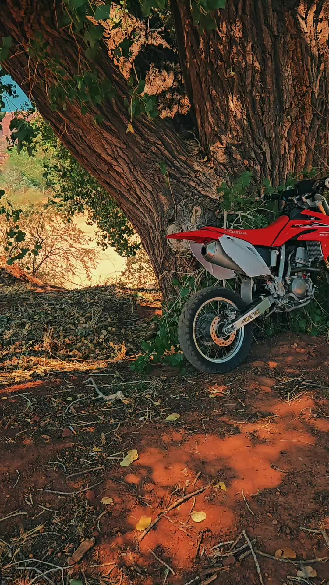 @Blackout150r