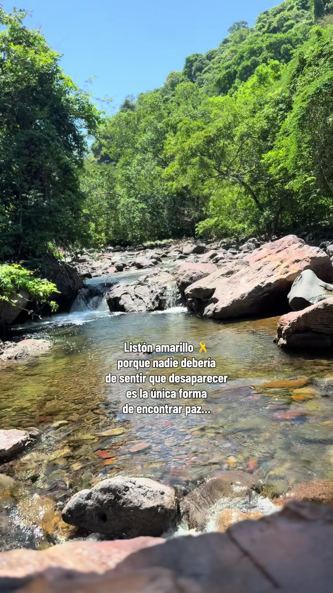 @;-) Vane Tena ⛰️