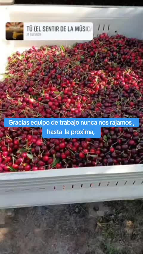 @Daniel Altamirano
