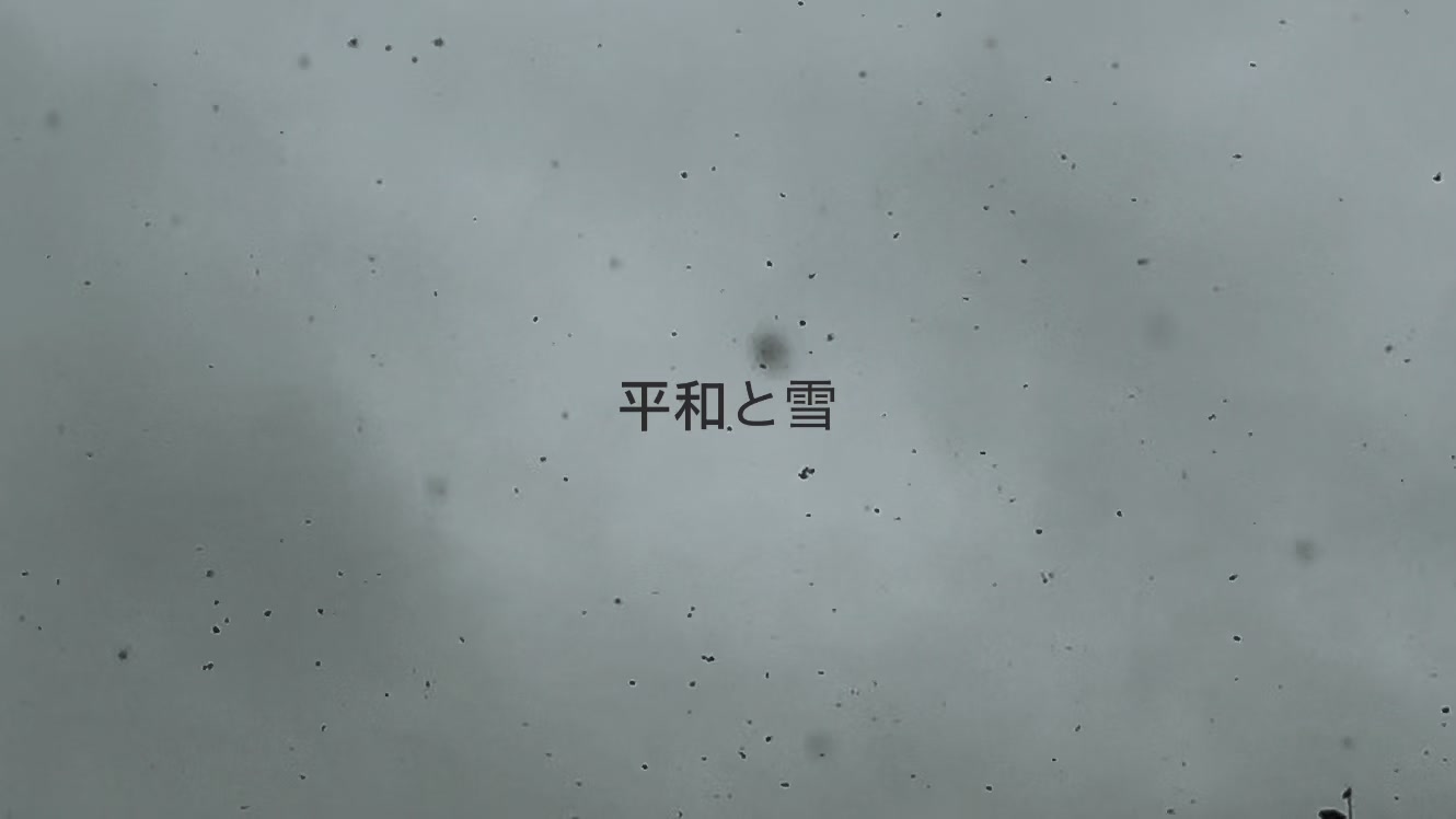 @冬空 ‧˚₊