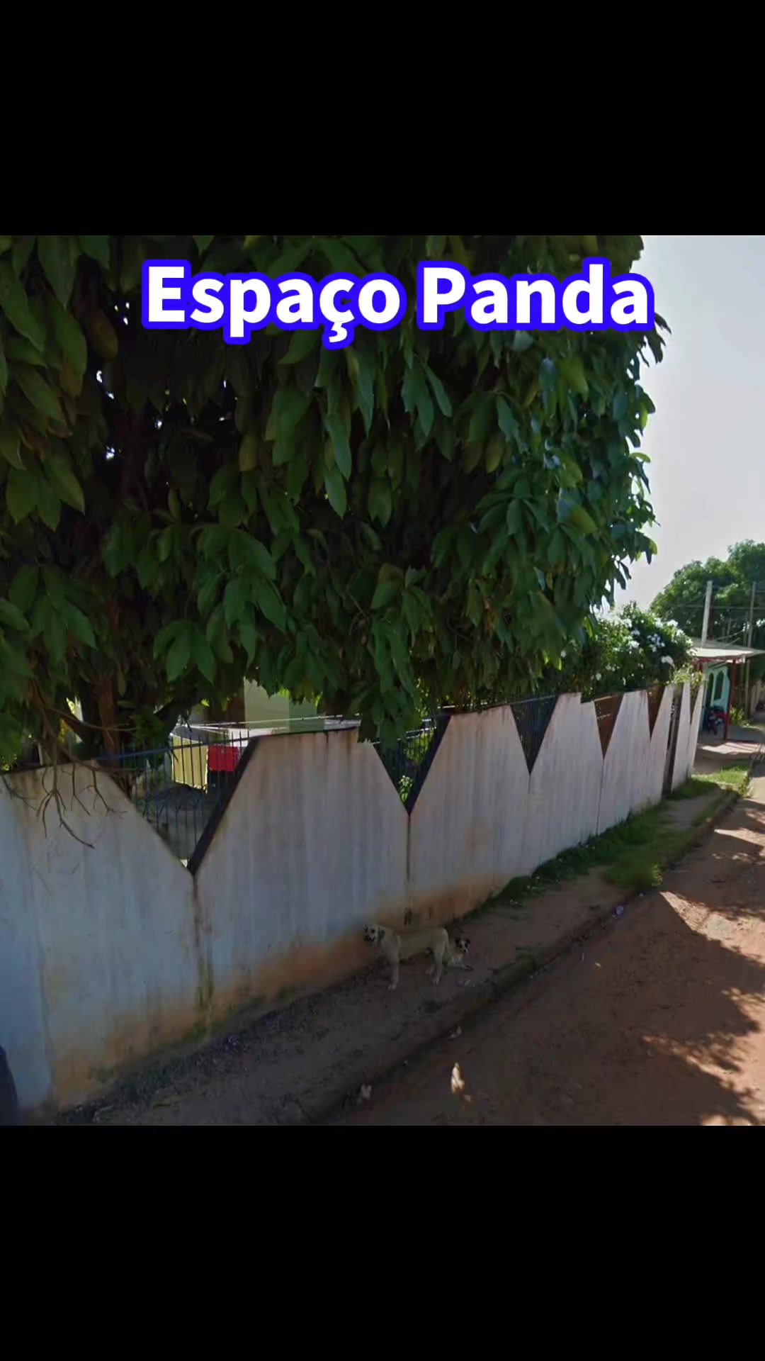 @Ney Palmeira