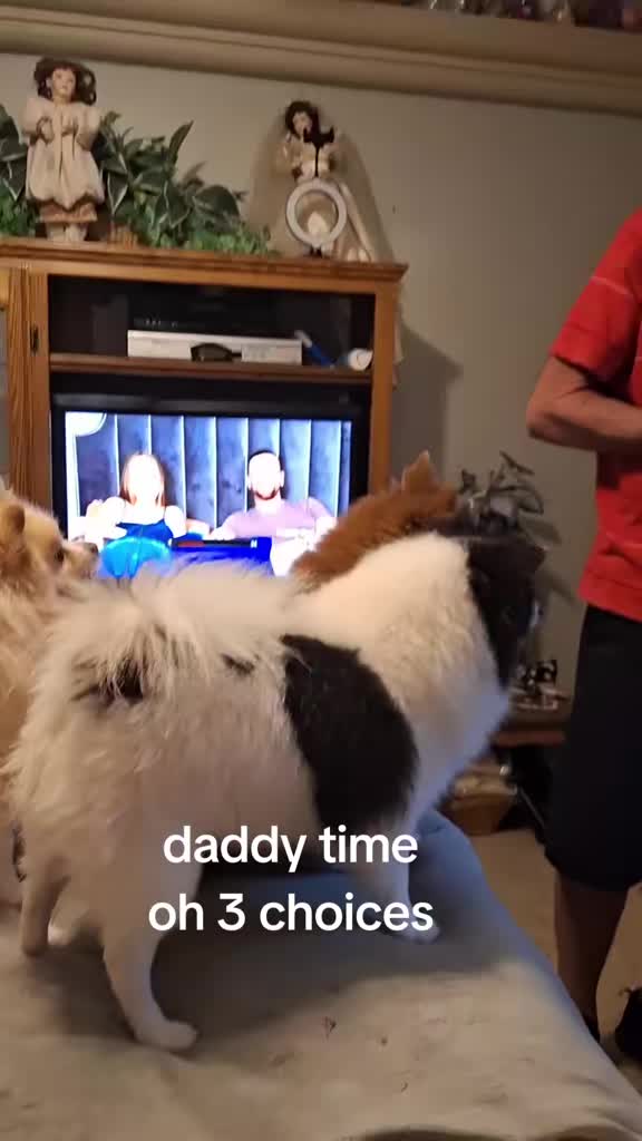 @sherroneb62