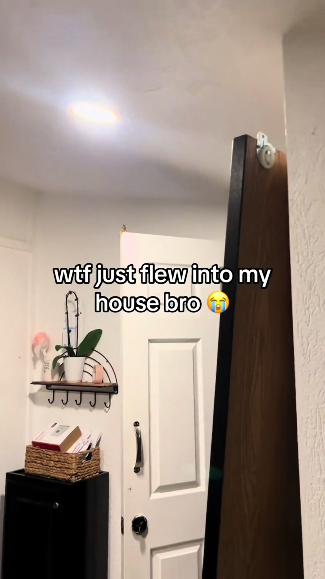 @champagnelance