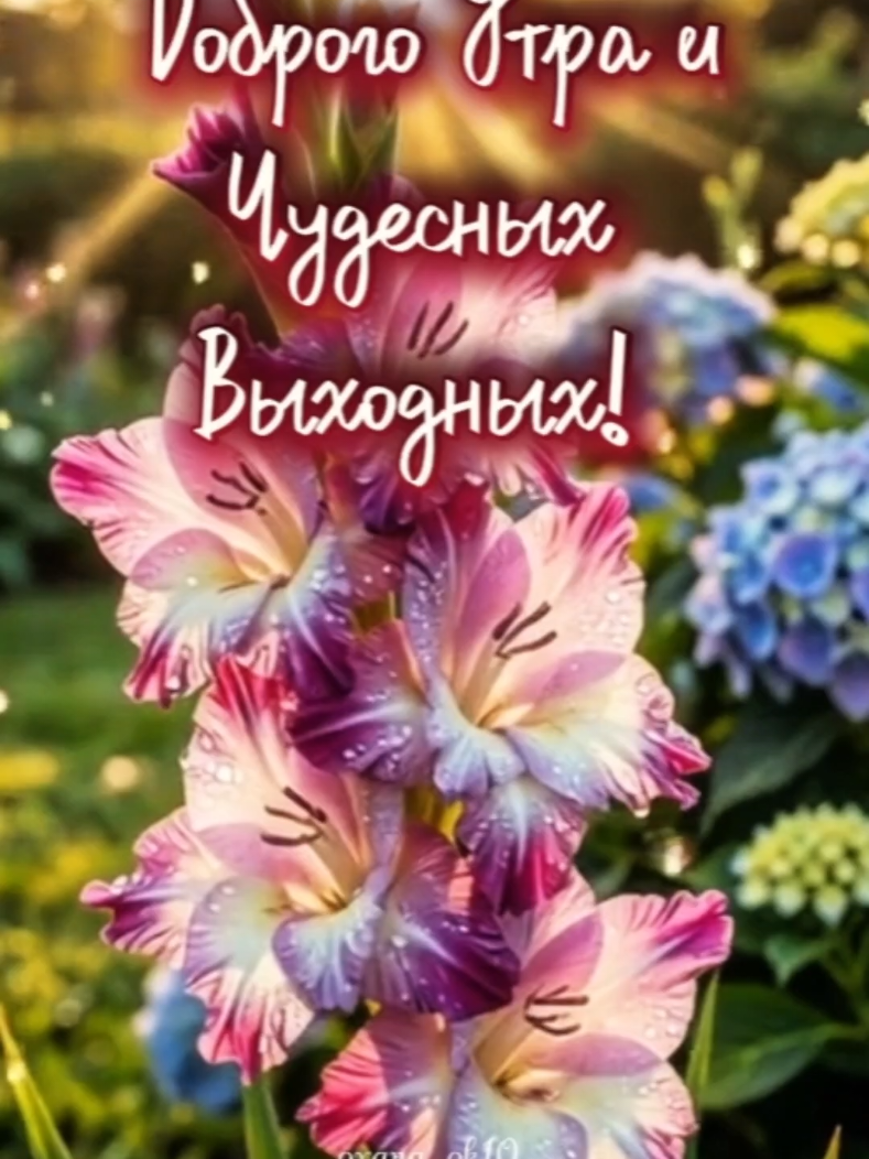 @❀︎ oxana_ok10 ❀︎