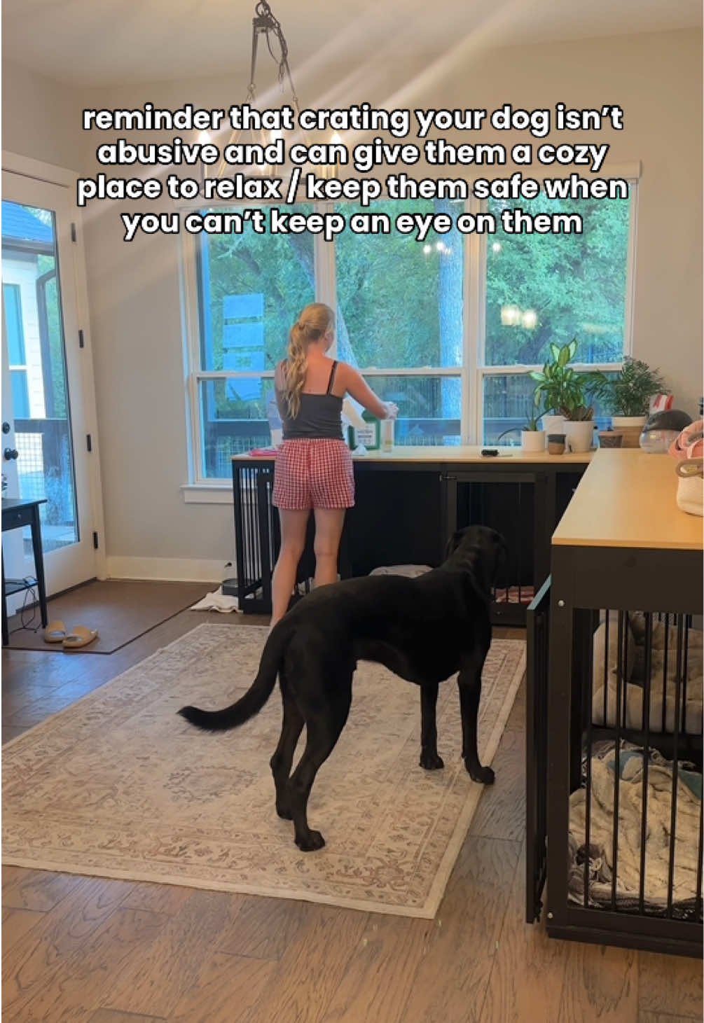 @Taylor + 4 dogs