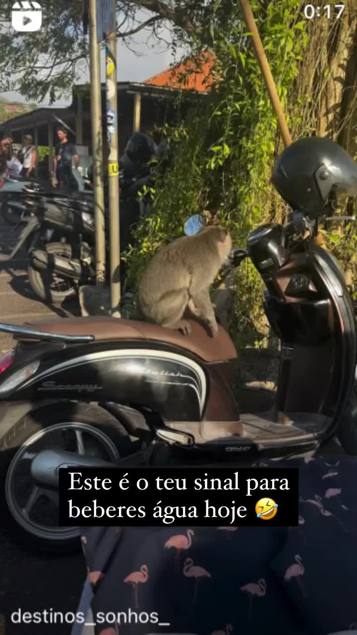 @Destinos & Sonhos