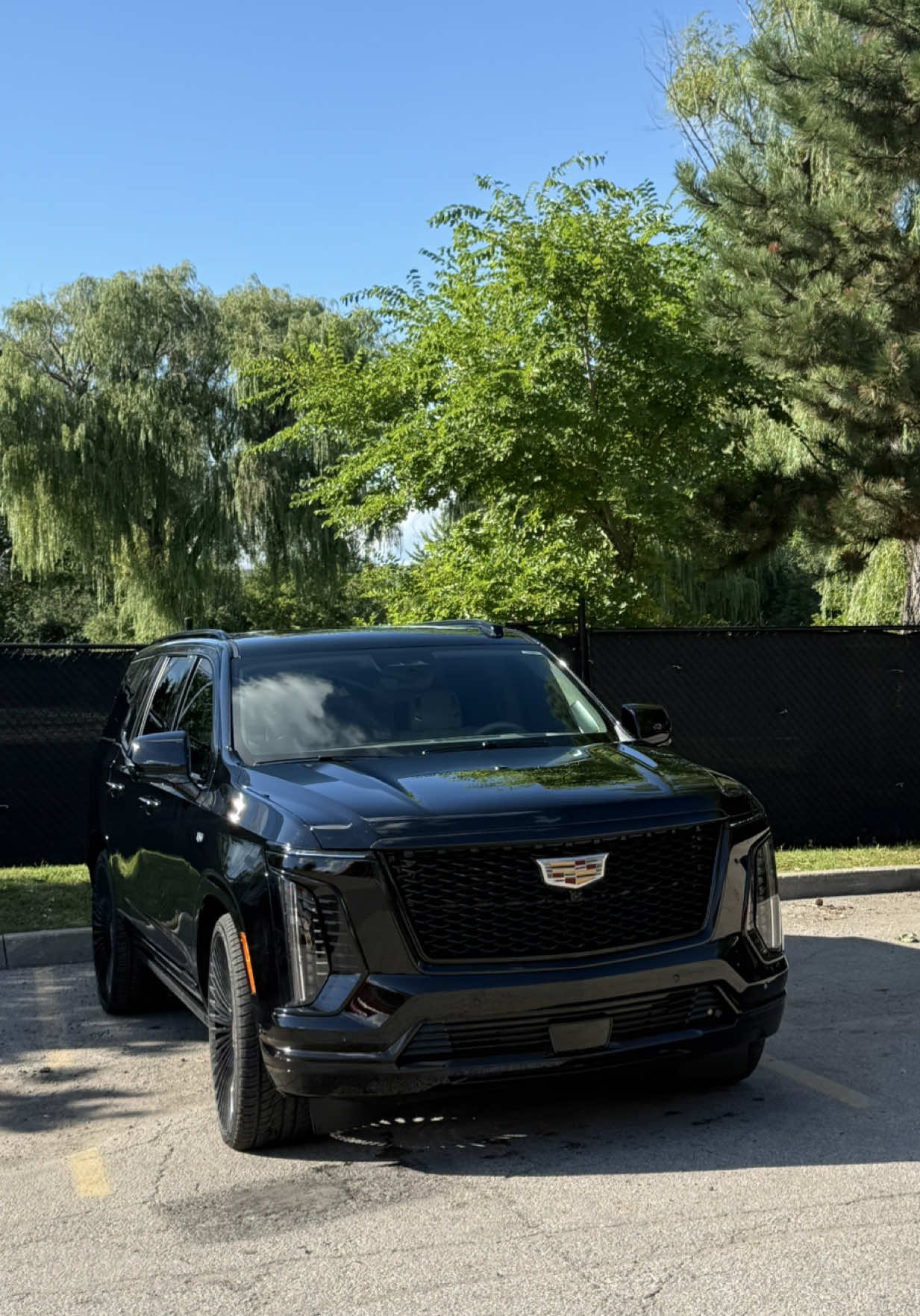 @Mafia_Detailing_Official