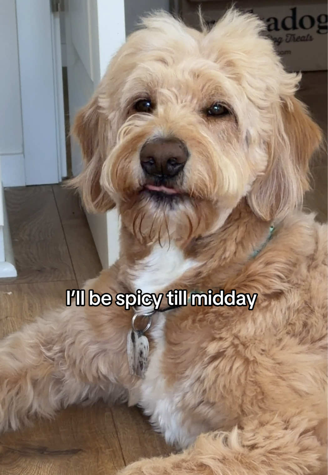 @Me, my Doods and I