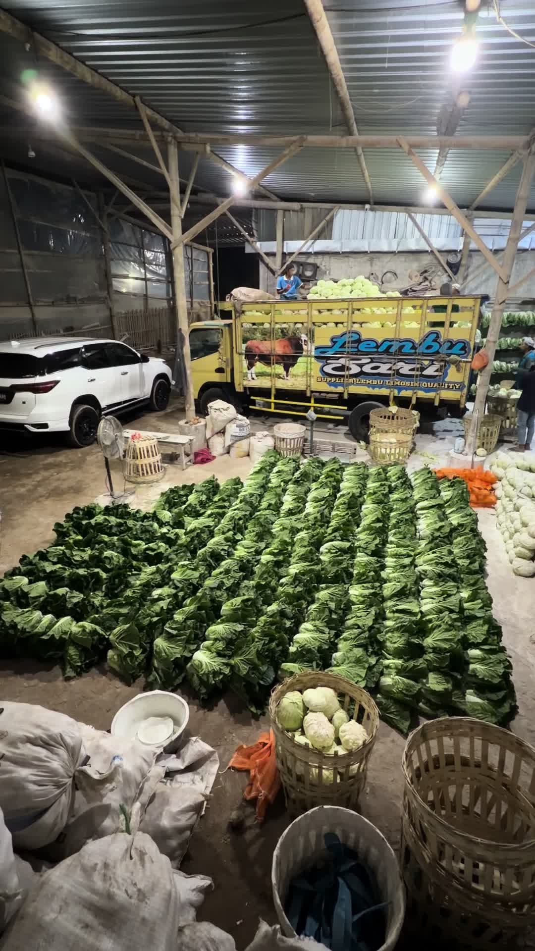 @MEGA TRANS SAYUR MALANG