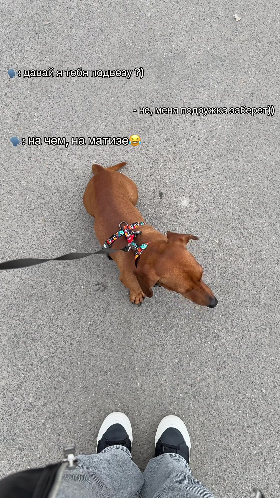 @nikulinaaaaaaaa