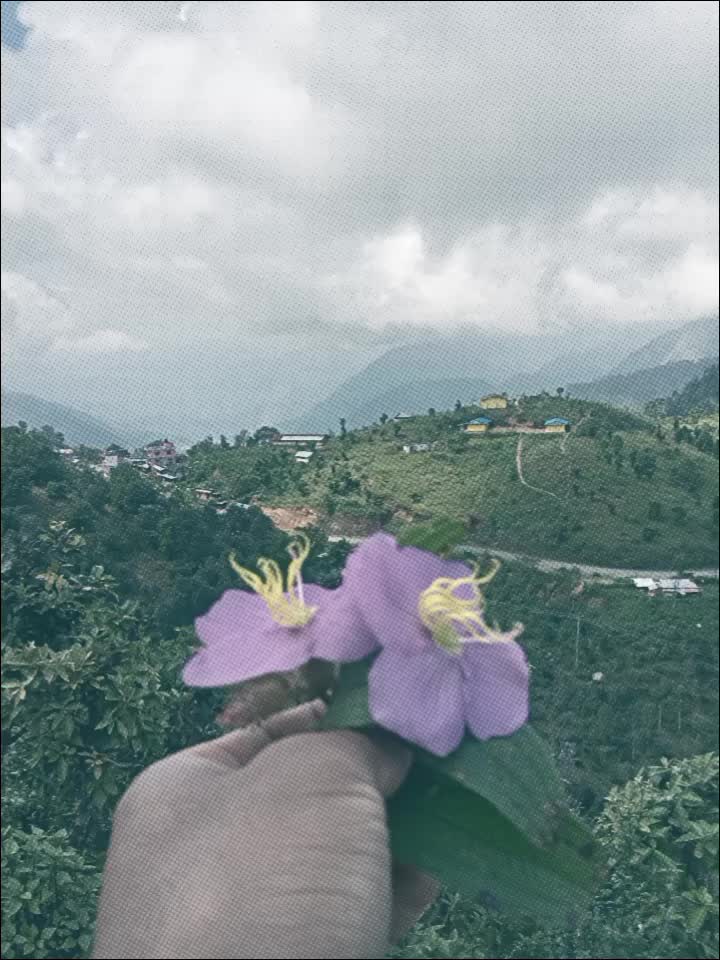 @Tapendra💥