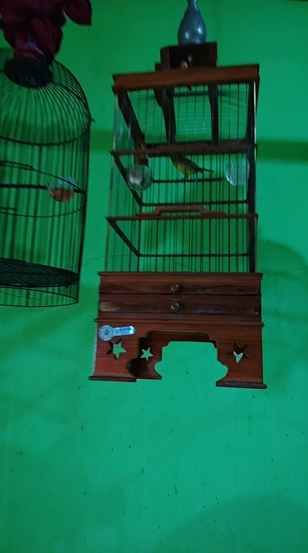 @NDX BIRD FARM