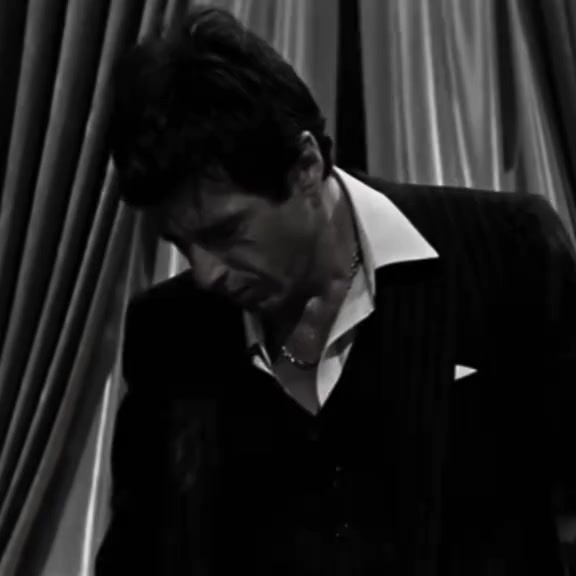 @🏴☠️ alpacino