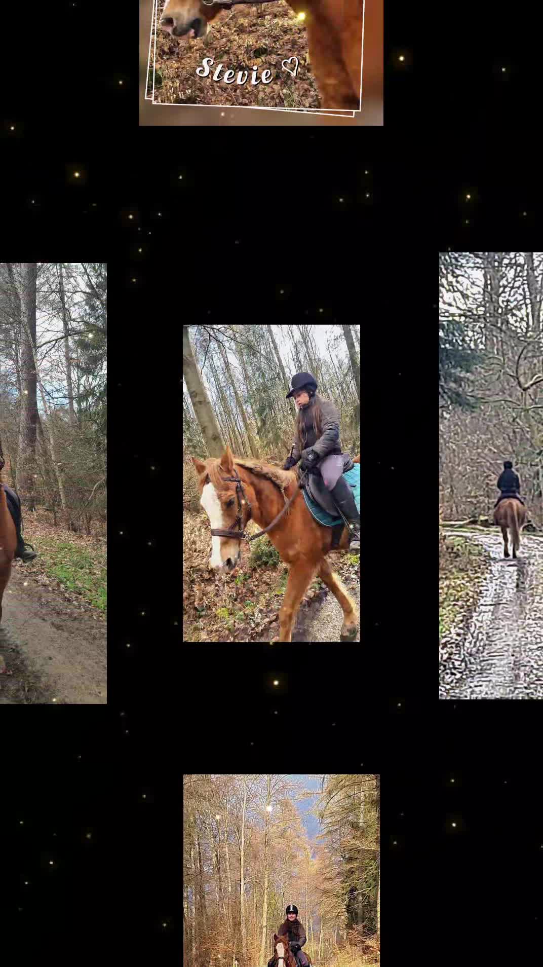 @Ponykids Freitagsgrund