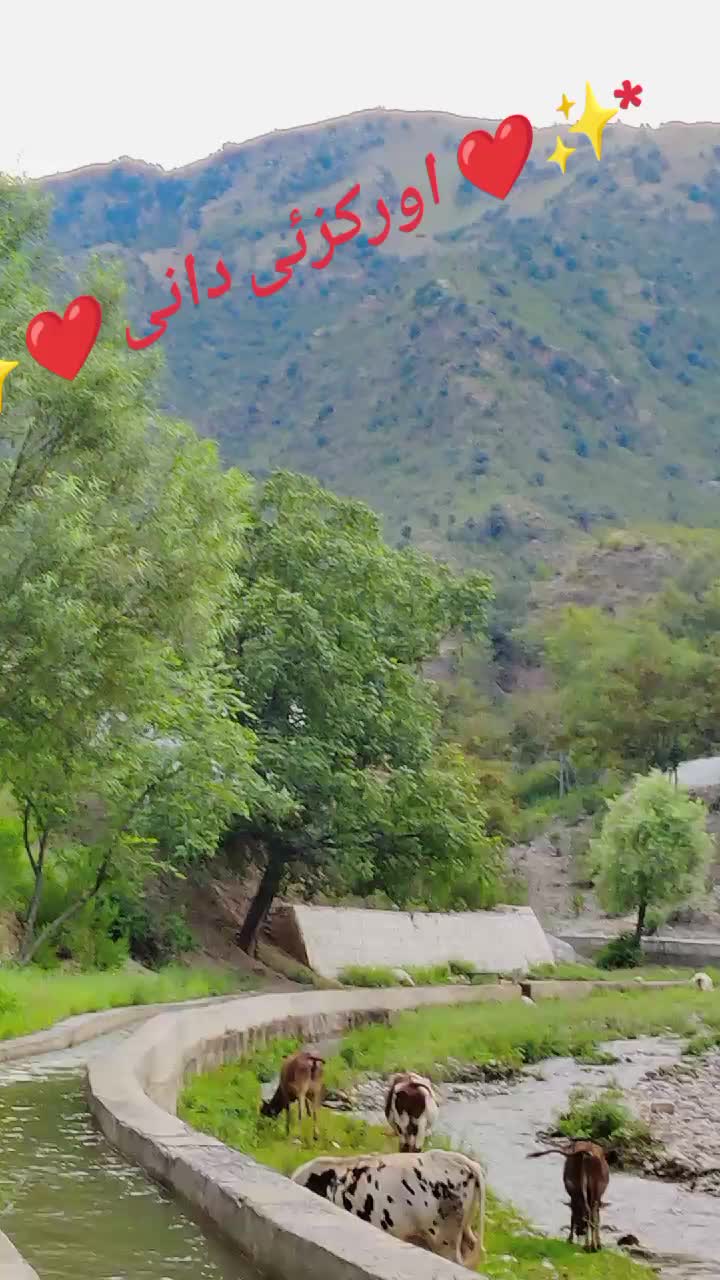 @Amin Afridi