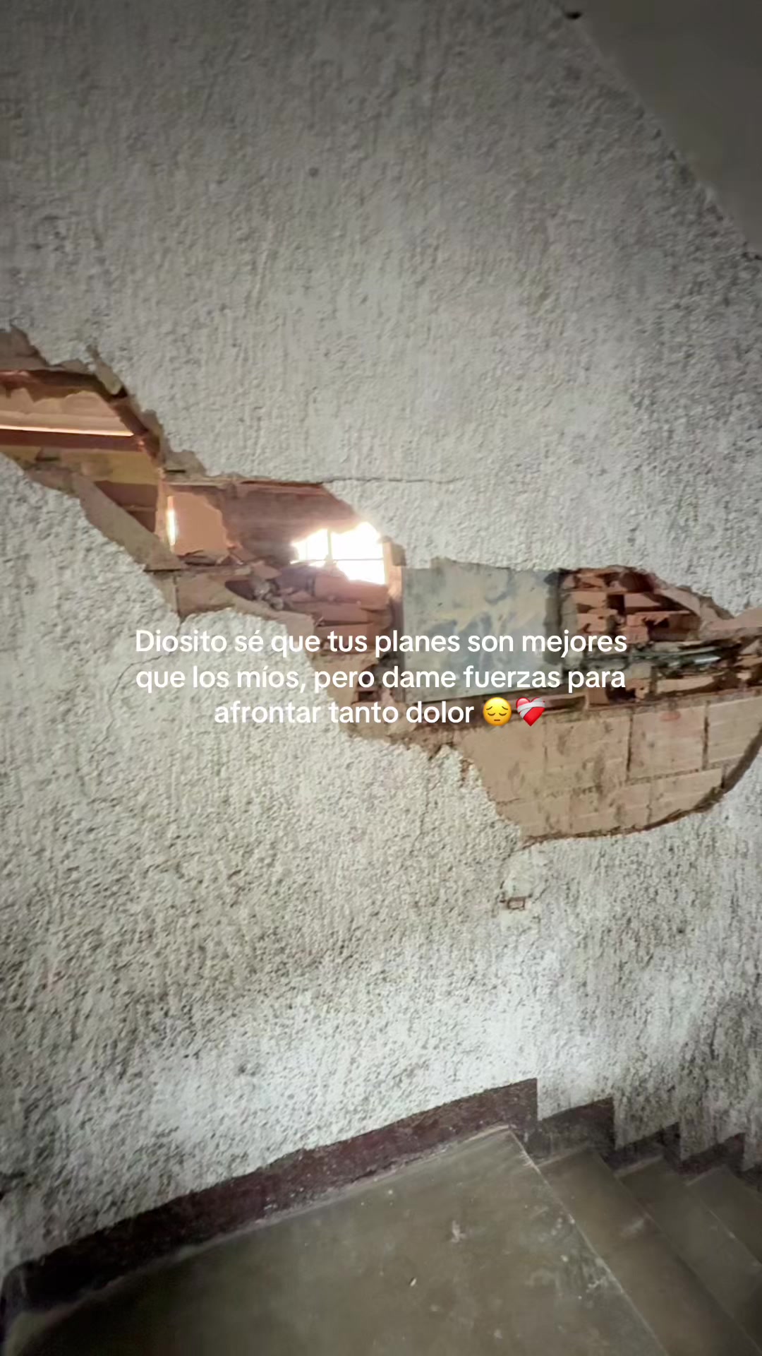 @Paola Martin