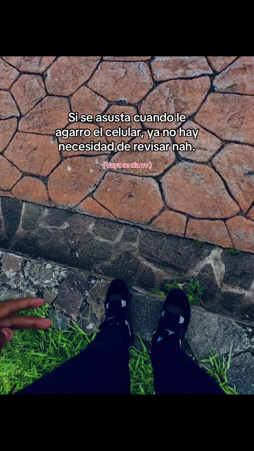 @ sv.brixn_11
